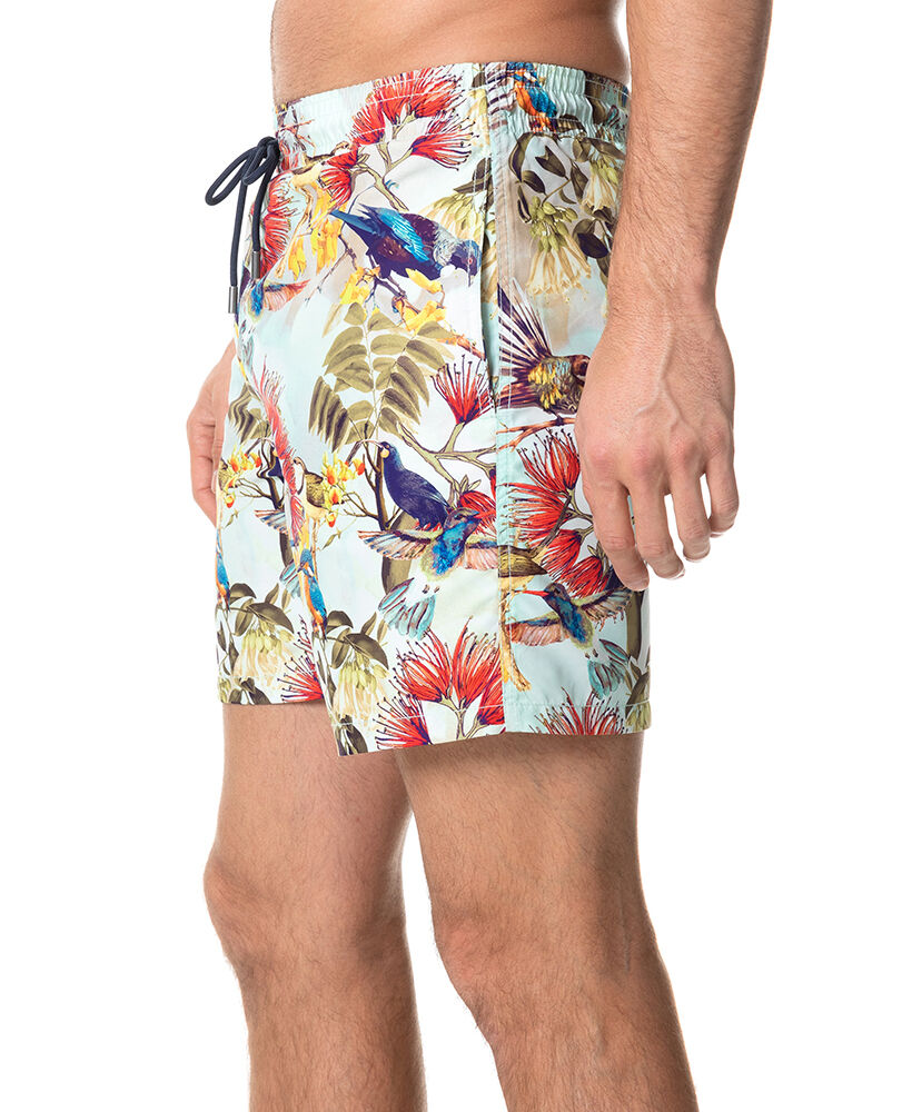 Sandfly Bay Swim Short, LAGOON, Back