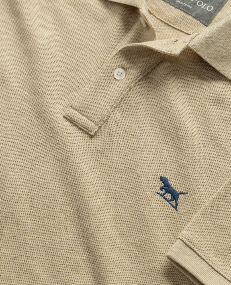 Polo The Gunn, AVOINE, Detail 2