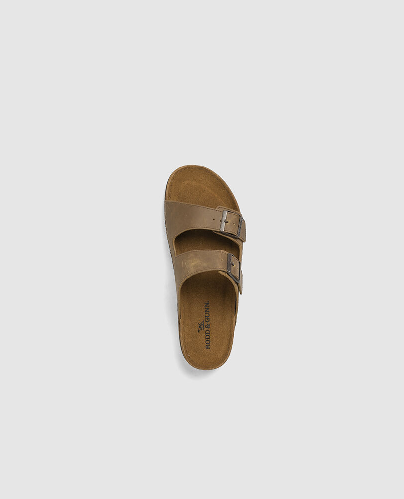 Raglan Slide, BIRCH