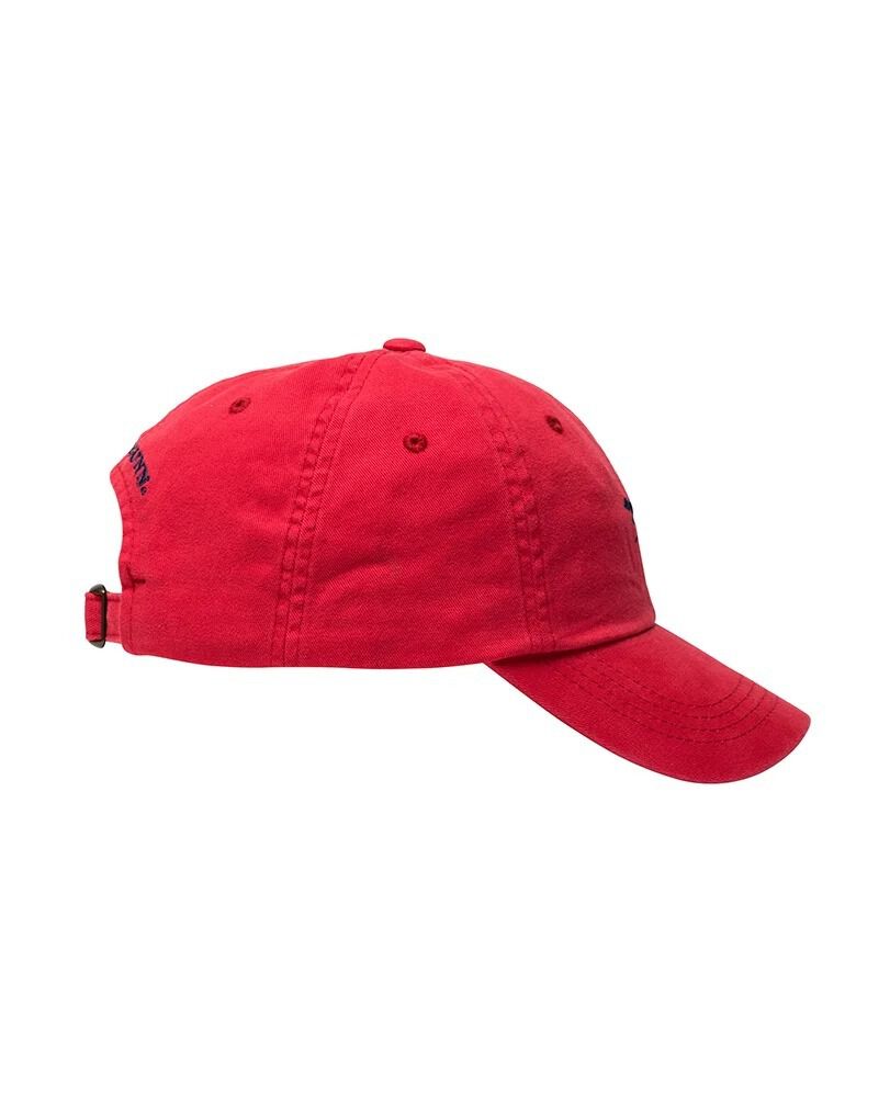 Gunn Cap, FIRE, Back