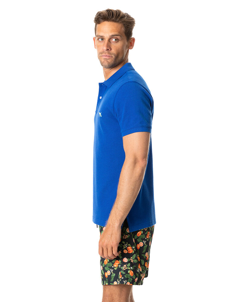 The Gunn Polo, COBALT, Back