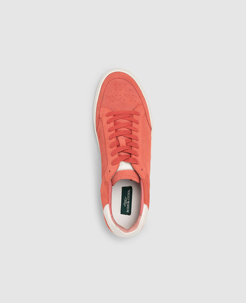 Sneaker Sussex Street, LACHS