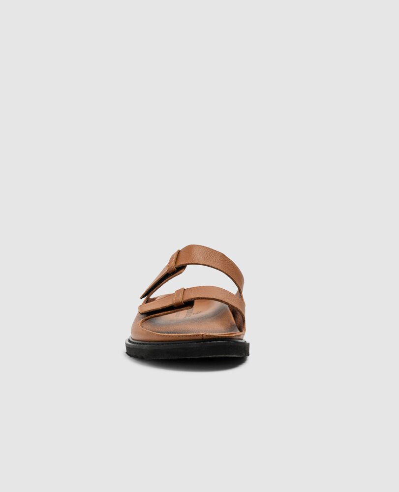 Palm Park Slide, TAN