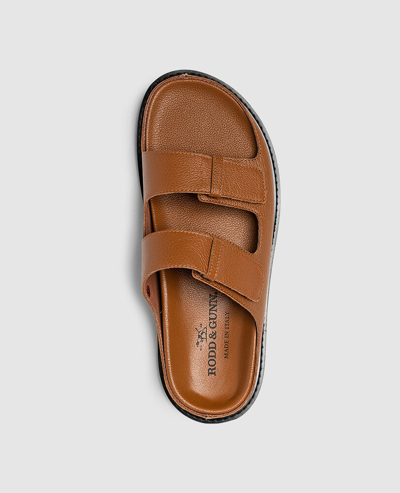 Palm Park Slide, TAN