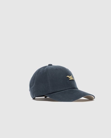 Pinnacles Cap, NAVY OXFORD