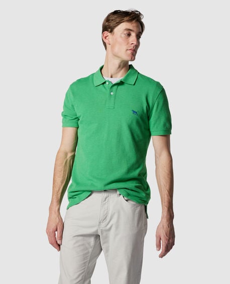 The Gunn Polo, LAWN