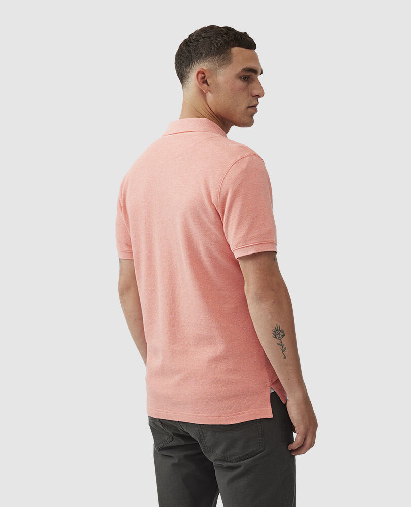 The Gunn Polo, SALMON, Back