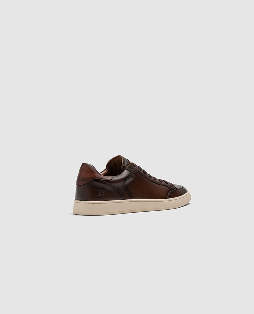 Sussex Street Sneaker, TESTA DI MORO, Back