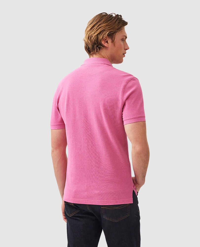 The Gunn Polo, FLAMINGO, Back