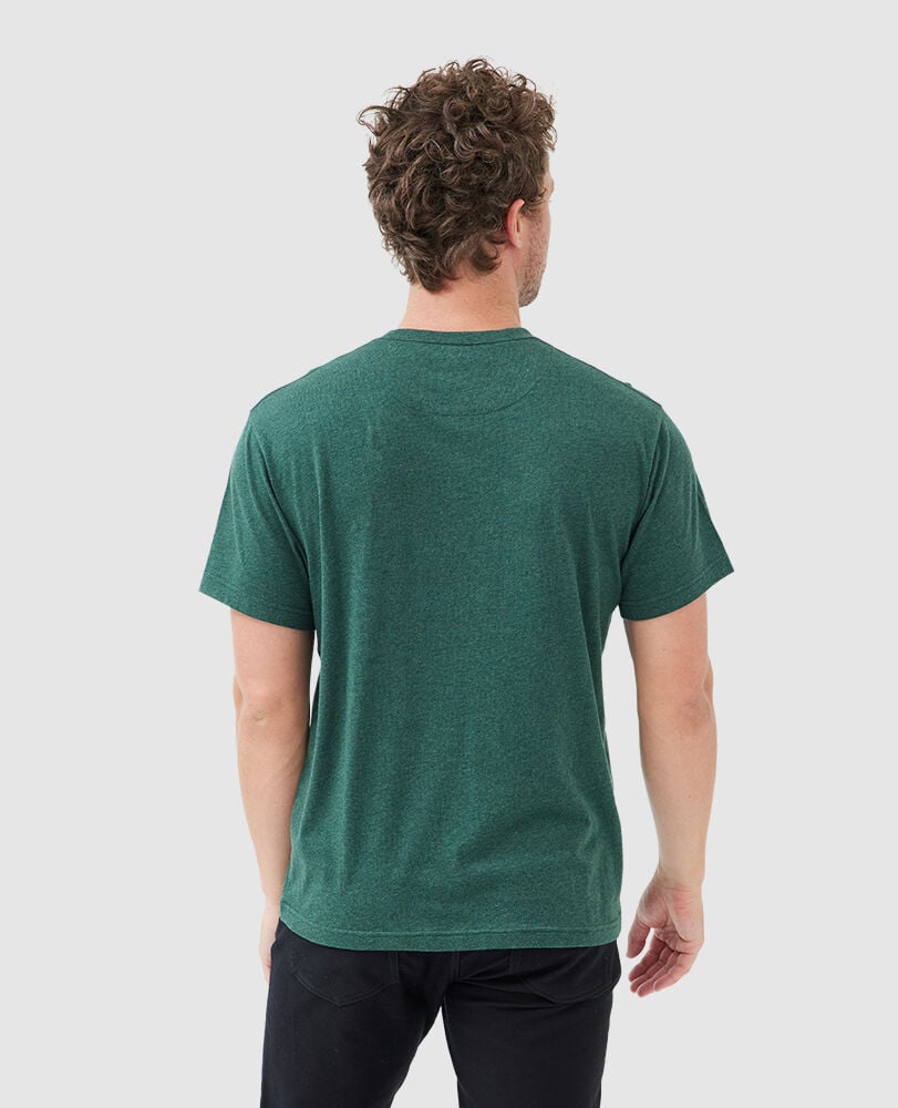 The Gunn T-Shirt  · Pine XS, PINE, Back