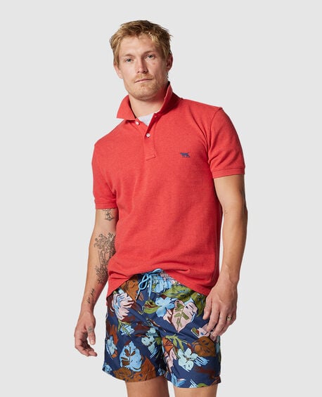 The Gunn Polo, FIESTA