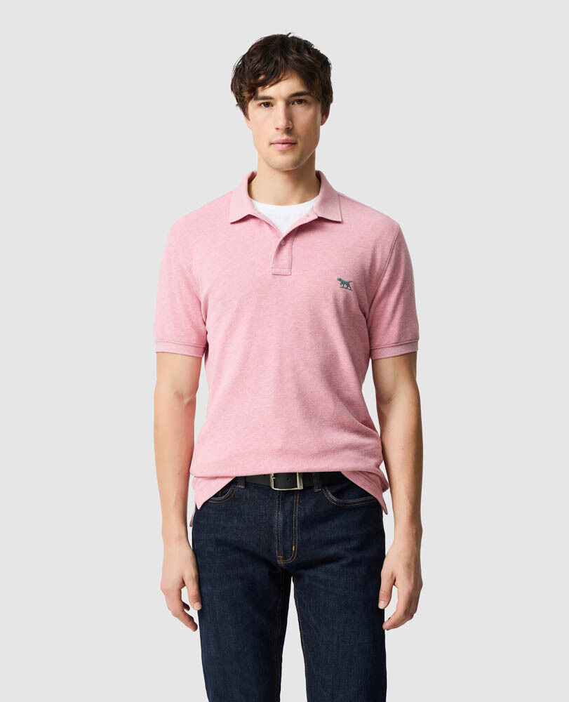 The Gunn Polo, CORAL, Front