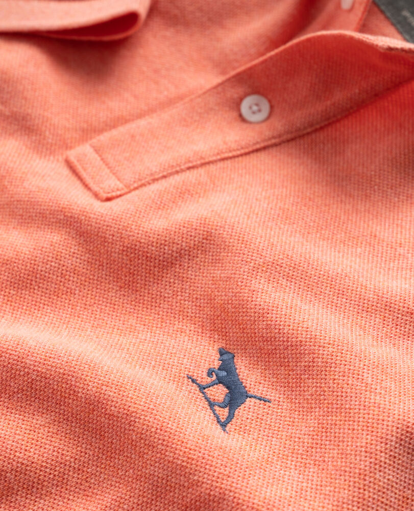 The Gunn Polo, SALMON, Detail 2