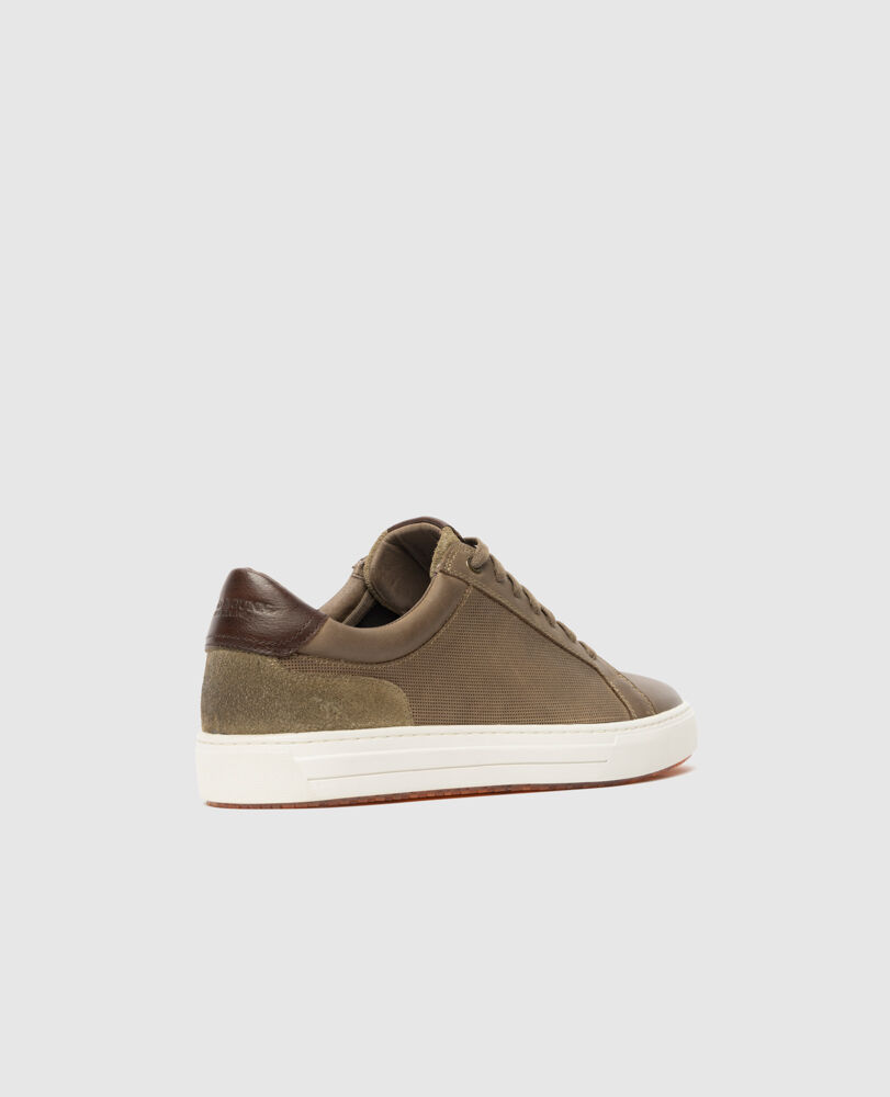 Transit Sneaker, SANDSTONE, Back