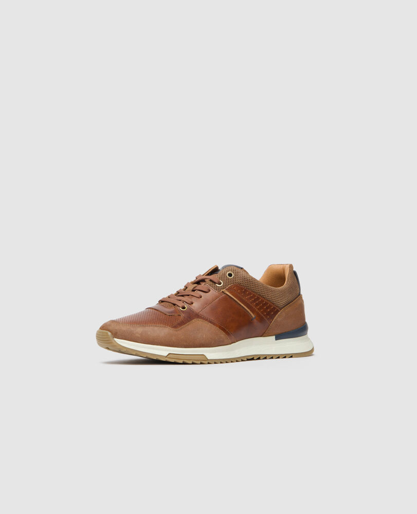 Albury Sneaker, COGNAC