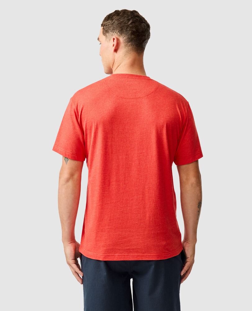 The Gunn T-Shirt , CHILLI, Back