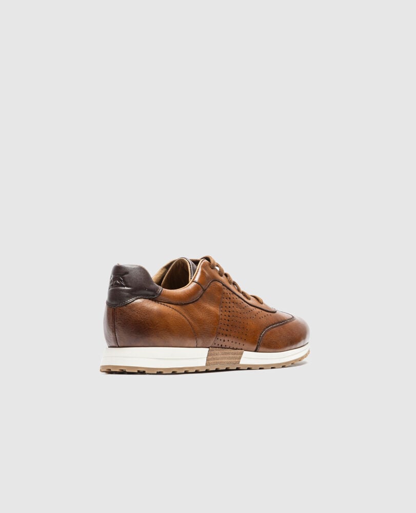 Otago Sneaker, TEAK, Back
