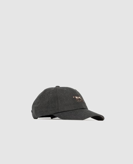 Signature Cap, CARBON OXFORD