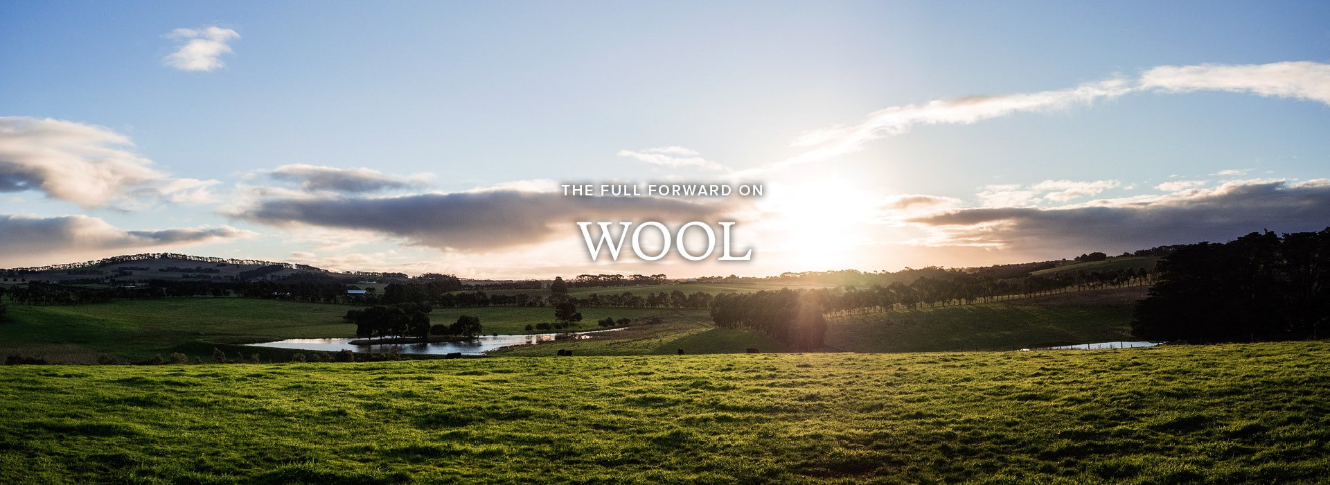 The Full Forward On Wool Gunn News Rodd Gunn