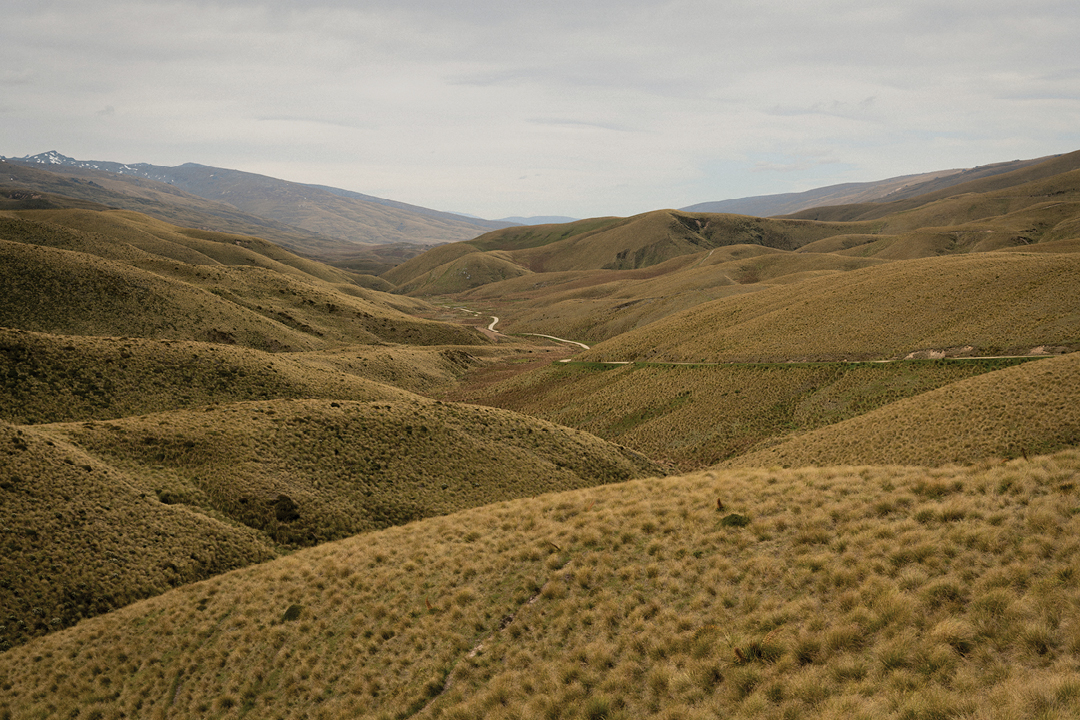 rodd and gunn jumper