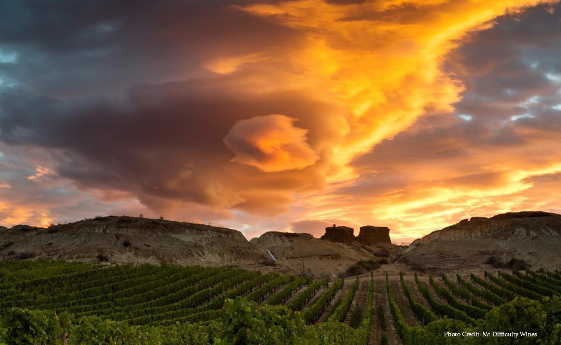 mt difficulty vineyard
