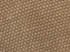 TAN OXFORD