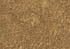SANDSTONE