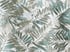 FERN